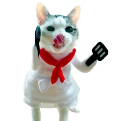 Chef Cat Costume