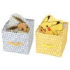 Pokemon Foldable Storage Box -Sweet Stationery Store eeveepika