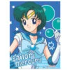 Sailor Mercury Wall Scroll -Sweet Stationery Store meruc